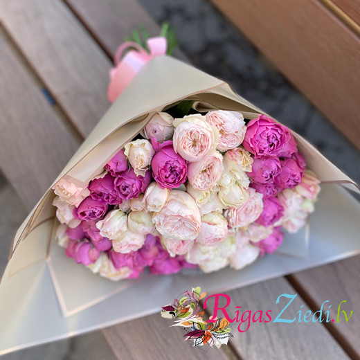 Peony-like bush roses pink, purple mix