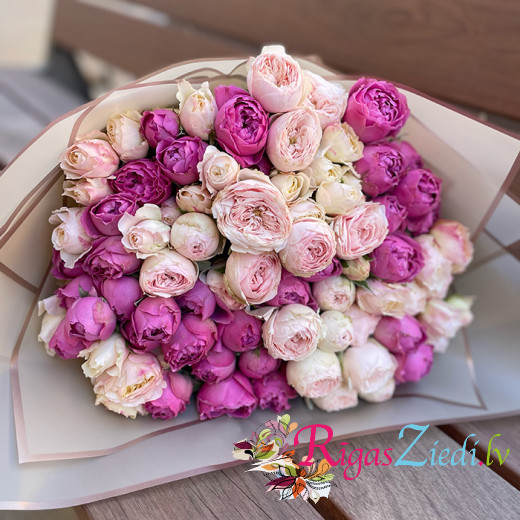 Peony-like bush roses pink, purple mix