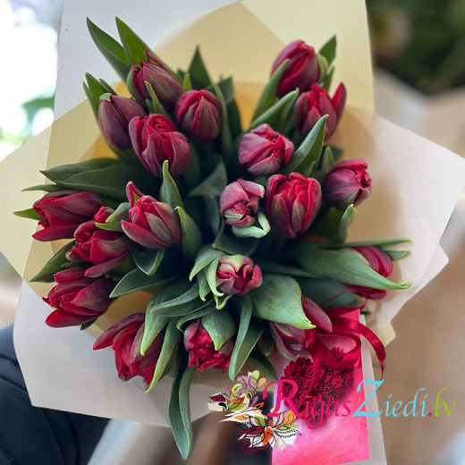 Pildītas sarkanas tulpes 