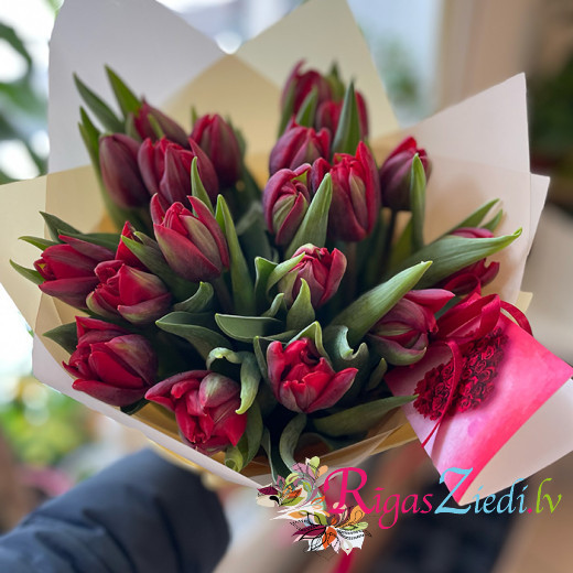 Pildītas sarkanas tulpes 