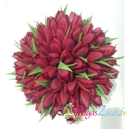 101 red tulip