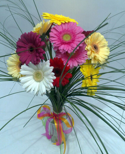 Gerberas with greens