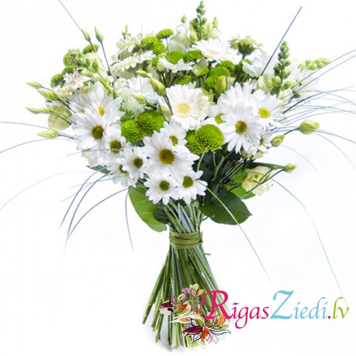 Krizantēmu pu&scaron;ķis Sveiciens