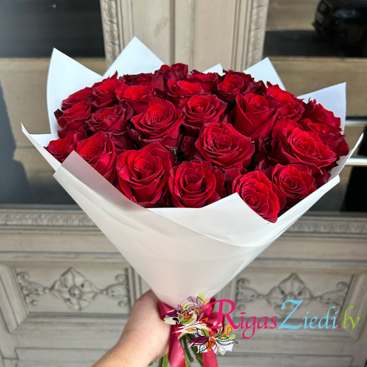 Red roses in white packaging