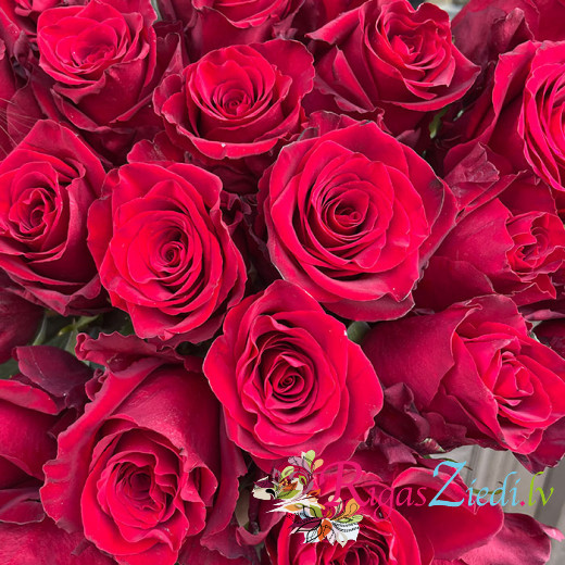 Red roses