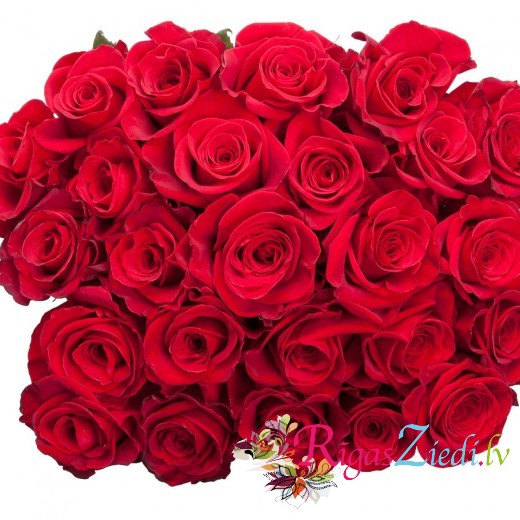 Sarkanas Rozes