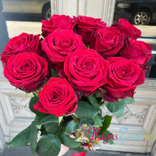Smaržojošas rozes Red Naomi