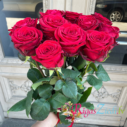 Smaržojošas rozes Red Naomi