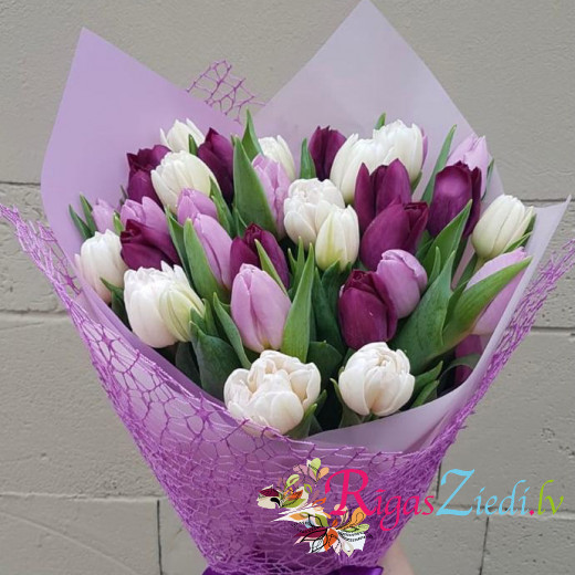 Bouquet of white and purple tulips