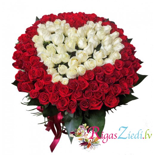Rožu sirds 151 sarkanas un baltas rozes