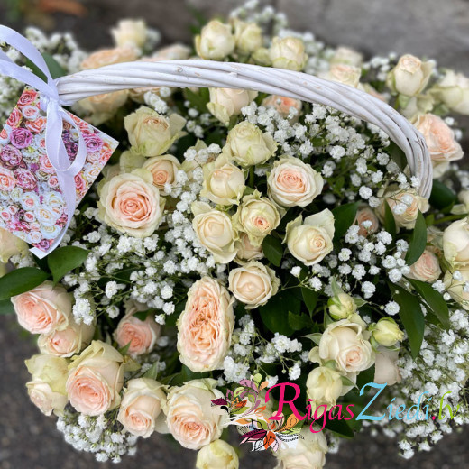 A basket of rose bushes