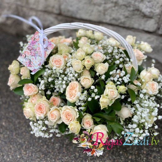 A basket of rose bushes