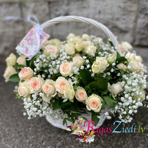 A basket of rose bushes