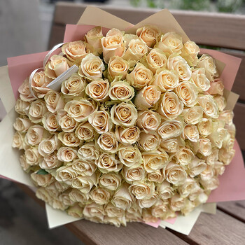 ​101 cream roses