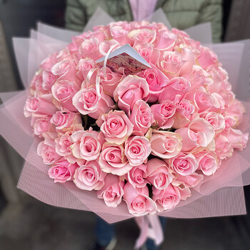 101 pink rose