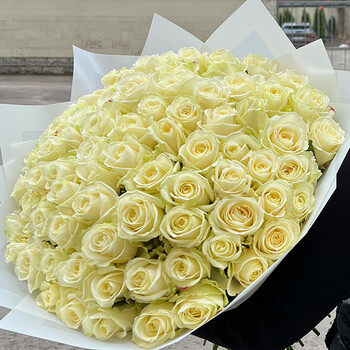 101 White Rose Avalanche