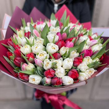 101 тюльпан разного цвета