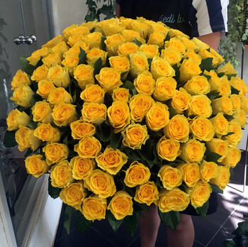 101 yellow rose