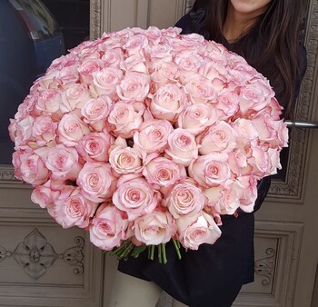 101 pink Premium class rose