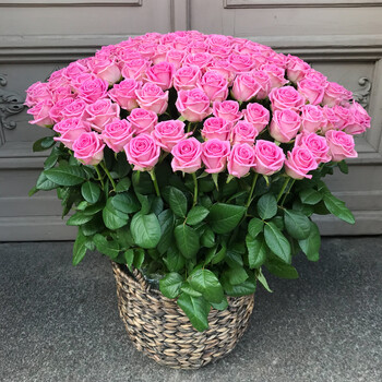 101 pink roses in a basket