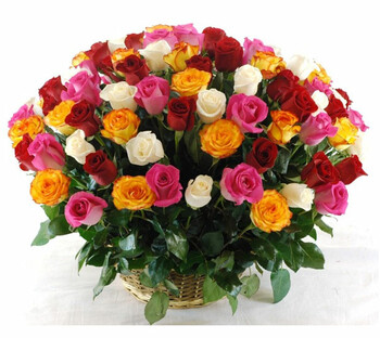 101 dažādu krāsu roze grozā