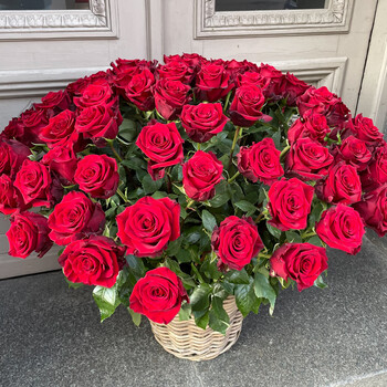 101 red roses in a basket