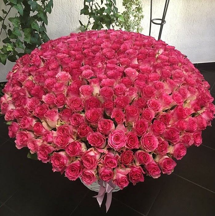 101 roze — ekskluzīvi rožu pušķi | Rīgas Ziedi