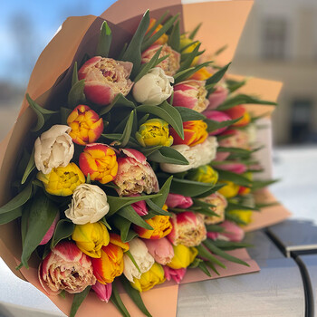 51 пионовидный тюльпан