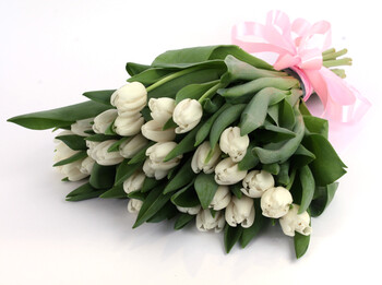 Букет из белых тюльпанов