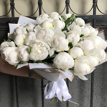 Baltu peoniju pu&scaron;ķis