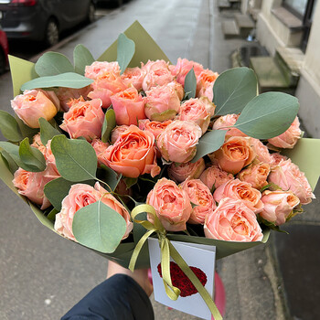 Peony-like shrub roses in decorative packaging