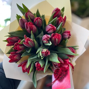 Пионовидные красные тюльпаны