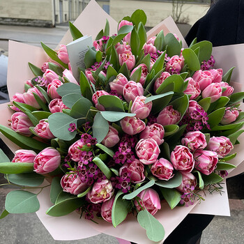 51 pink tulips with wax flower and eucalyptus