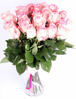 Premium pink rose bouquet 50-70 cm
