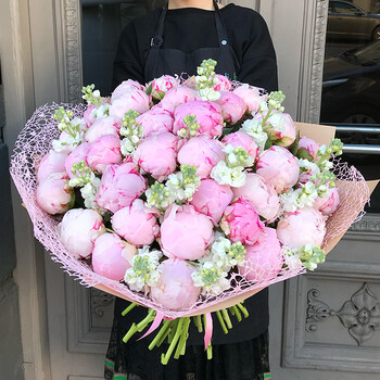 Large peony, matthiola bouquet