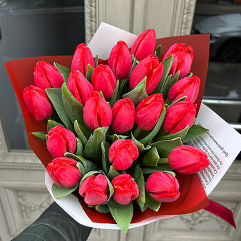 Красные тюльпаны