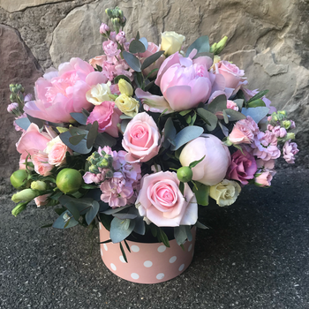 Maigi rozā peoniju kastīte