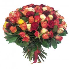 101 different colour roses