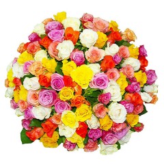 101 different color rose 40-80cm