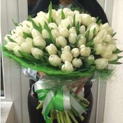 101 white tulips