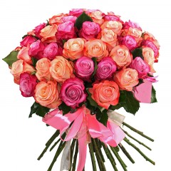 51 роза оранжево-розового и фиолетового цвета 