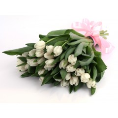 White tulip bouquet