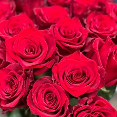 Sarkanu rožu pušķis Mīlu Tevi