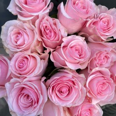 Pink rose bouquet (variable number of flowers and length)