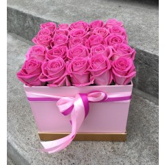 Roses Aqua in box