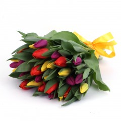 Different colored tulip bouquet