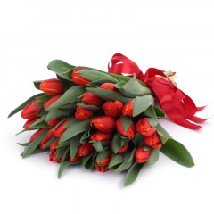 Red tulip bouquet