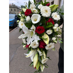 Bēru &scaron;trauss nr.20