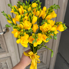 Yellow freesia