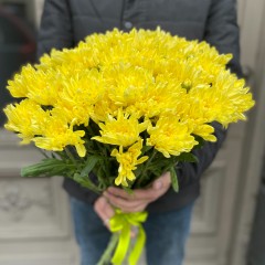 Yellow chrysanthemum